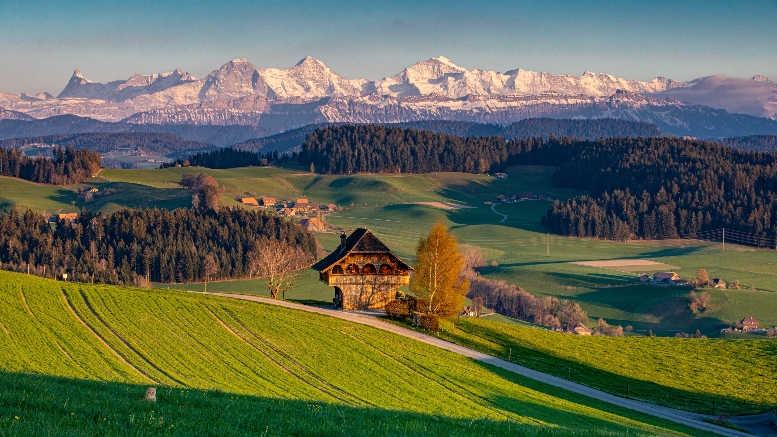 Emmental Biglen Hügellandschaft — Landschaftsfotografie Fotoworkshop Lightexplorers Schweiz