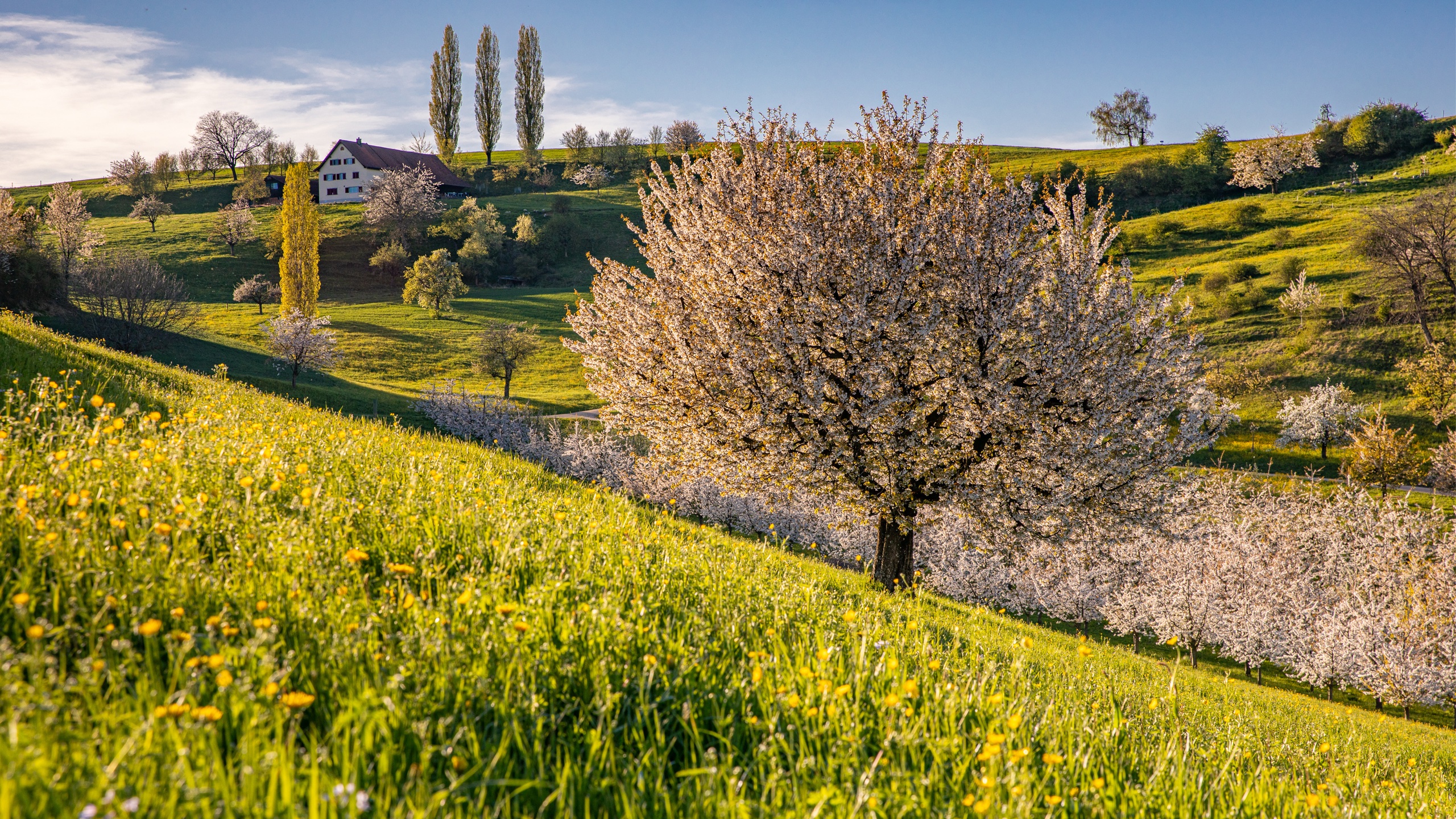 Aargau Fricktal Landschaft — Landschaftsfotografie Fotoworkshop Lightexplorers Schweiz