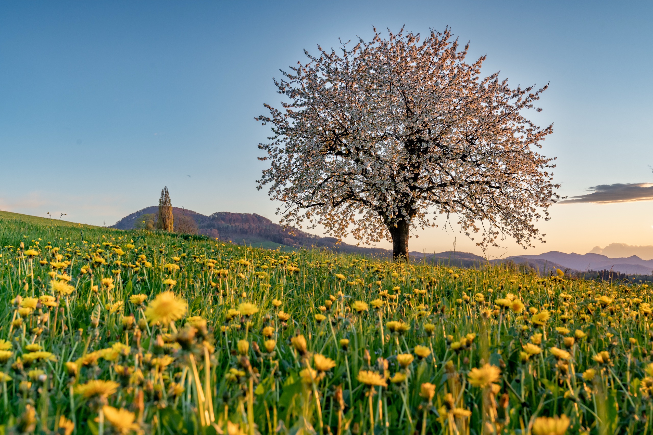 Oltingen Baselland — Landschaftsfotografie Fotoworkshop Lightexplorers Schweiz