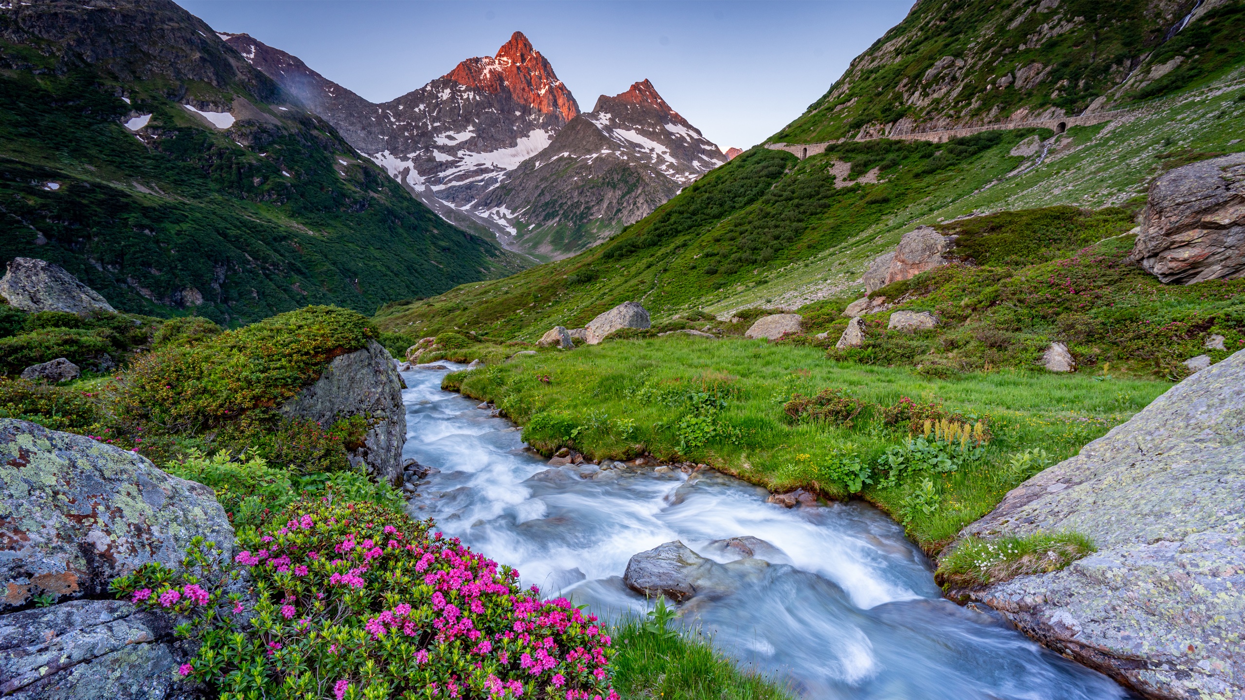 Uri Sustenpass Sommer — Alpenfotografie Fotoworkshop Lightexplorers Schweiz