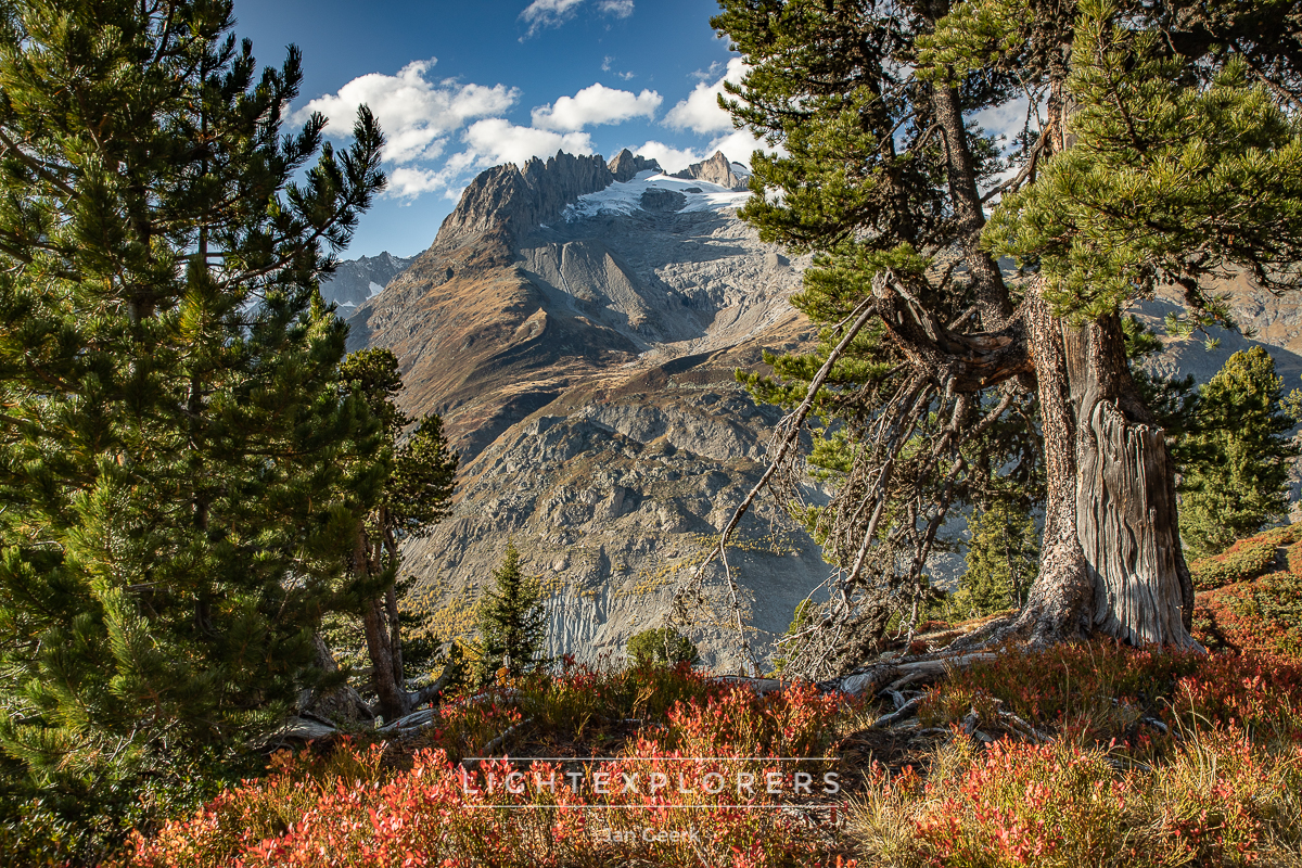 Aletsch Gletscher Tiefblick Wallis — Fotografie Workshop