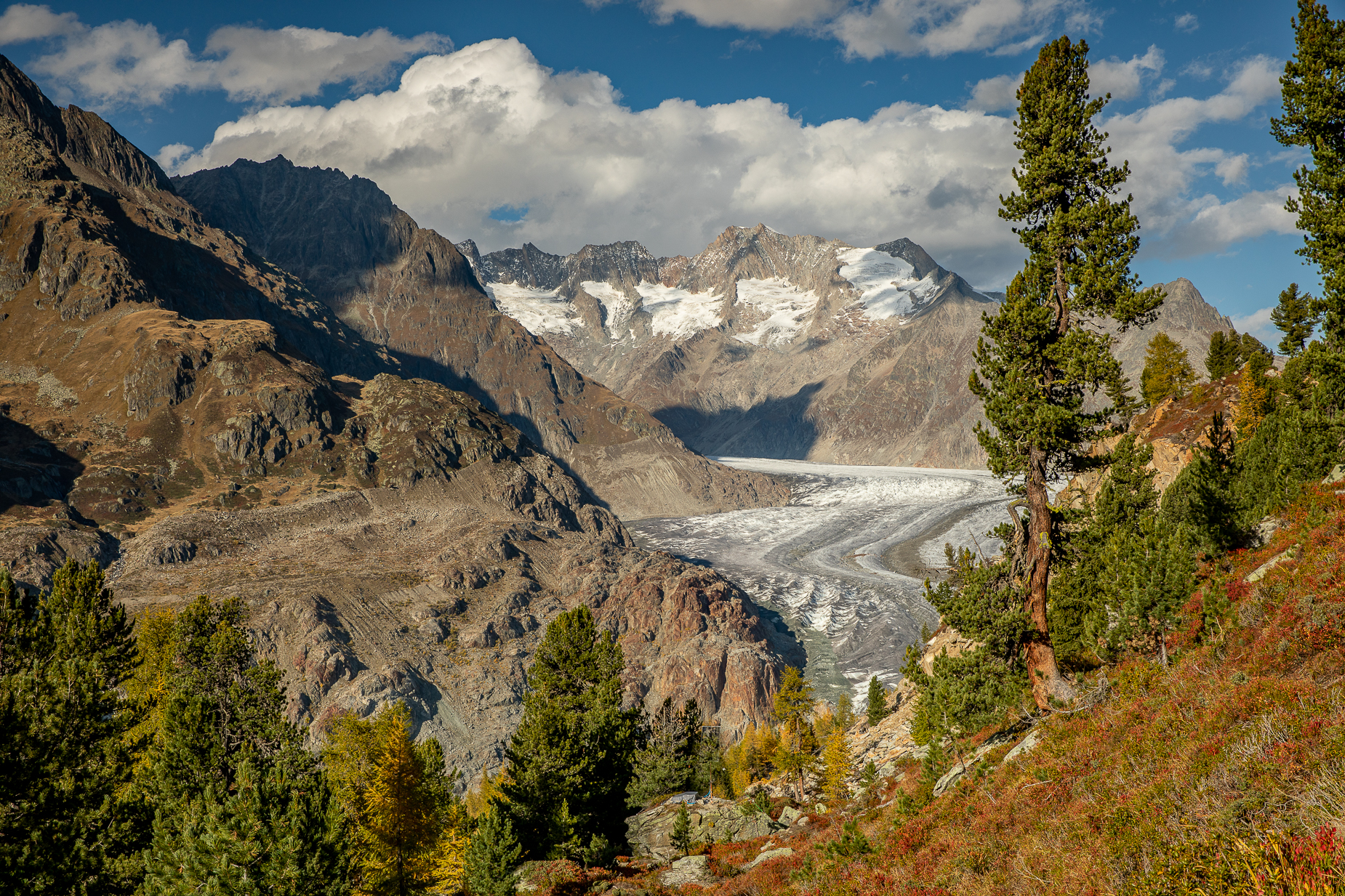 Aletschregion Wallis Wandern — Fotografie Fotoworkshop