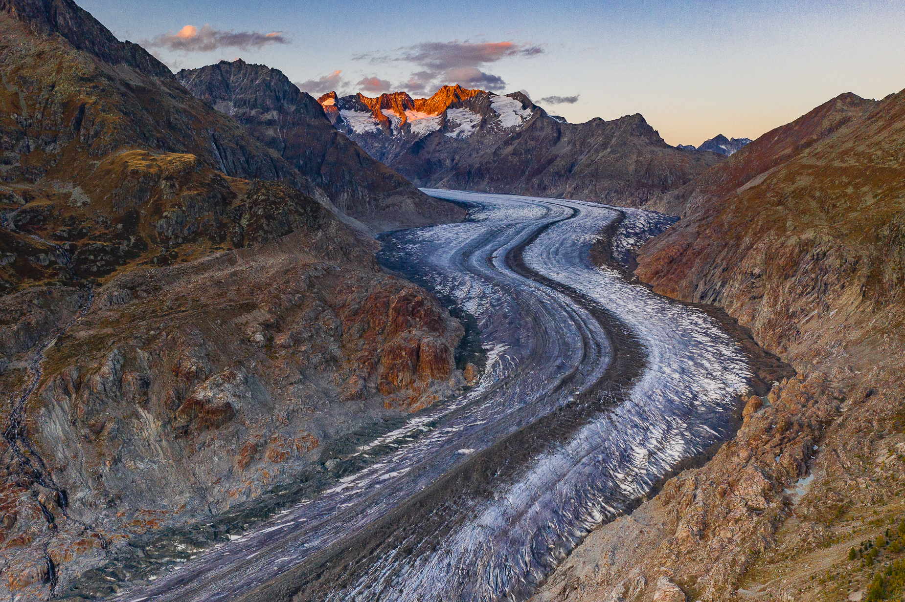 Aletsch Wallis Alpenblumen — Landschaftsfotografie Workshop