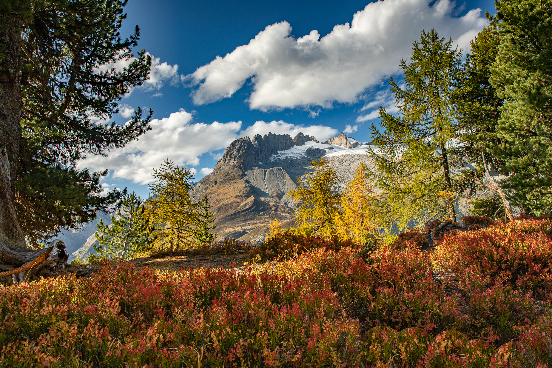 Aletschgletscher Blick von oben — Fotografie Workshop Wallis