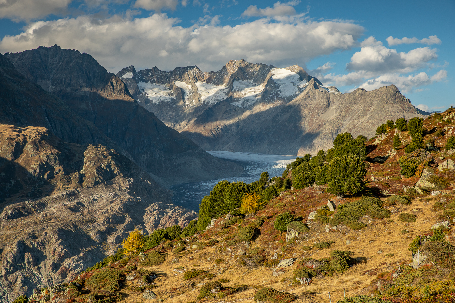 Aletschregion Bergwiesen Wallis — Fotoworkshop Lightexplorers