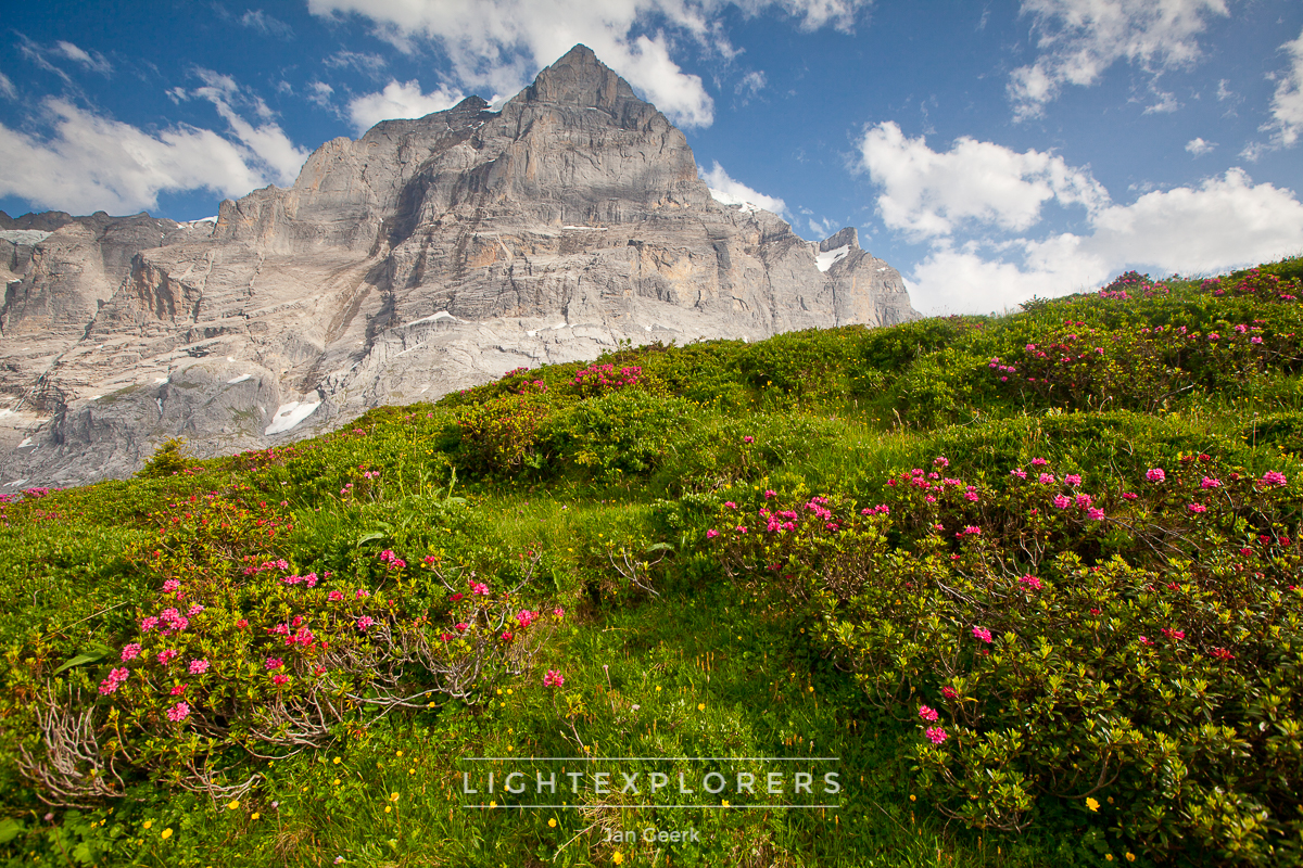 Alpen Berner Oberland Nebel — Landschaftsfotografie Workshop
