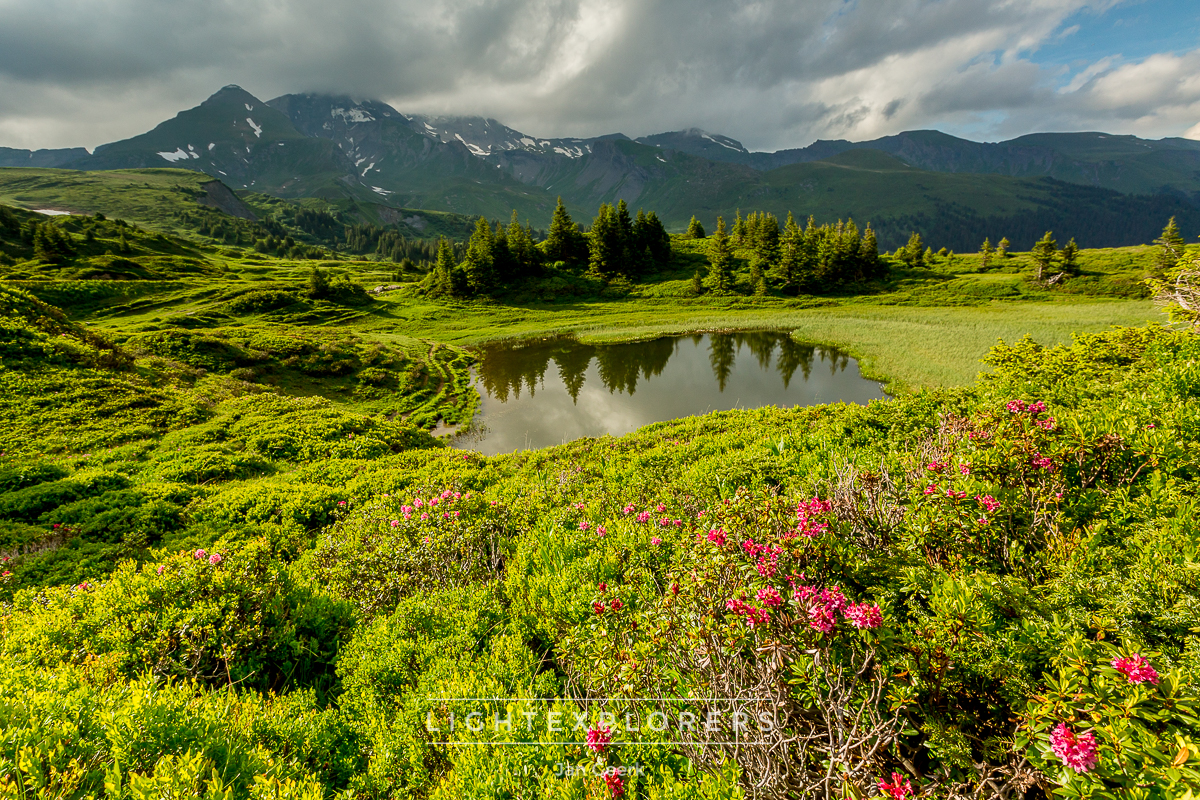 Berner Oberland Bergbach — Fotoworkshop Lightexplorers Schweiz