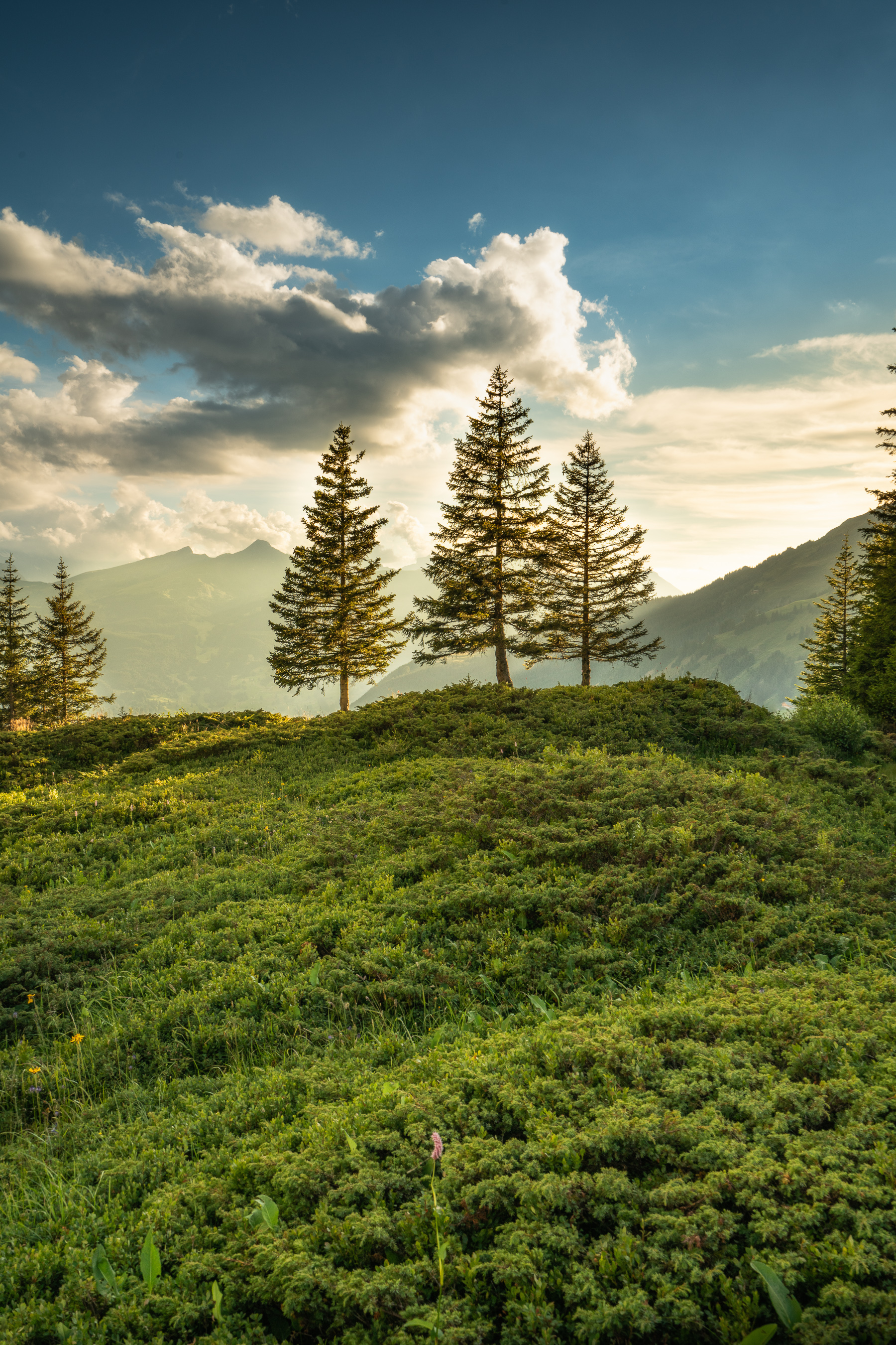 Eiger Mönch Jungfrau Berner Oberland — Fotoworkshop Lightexplorers