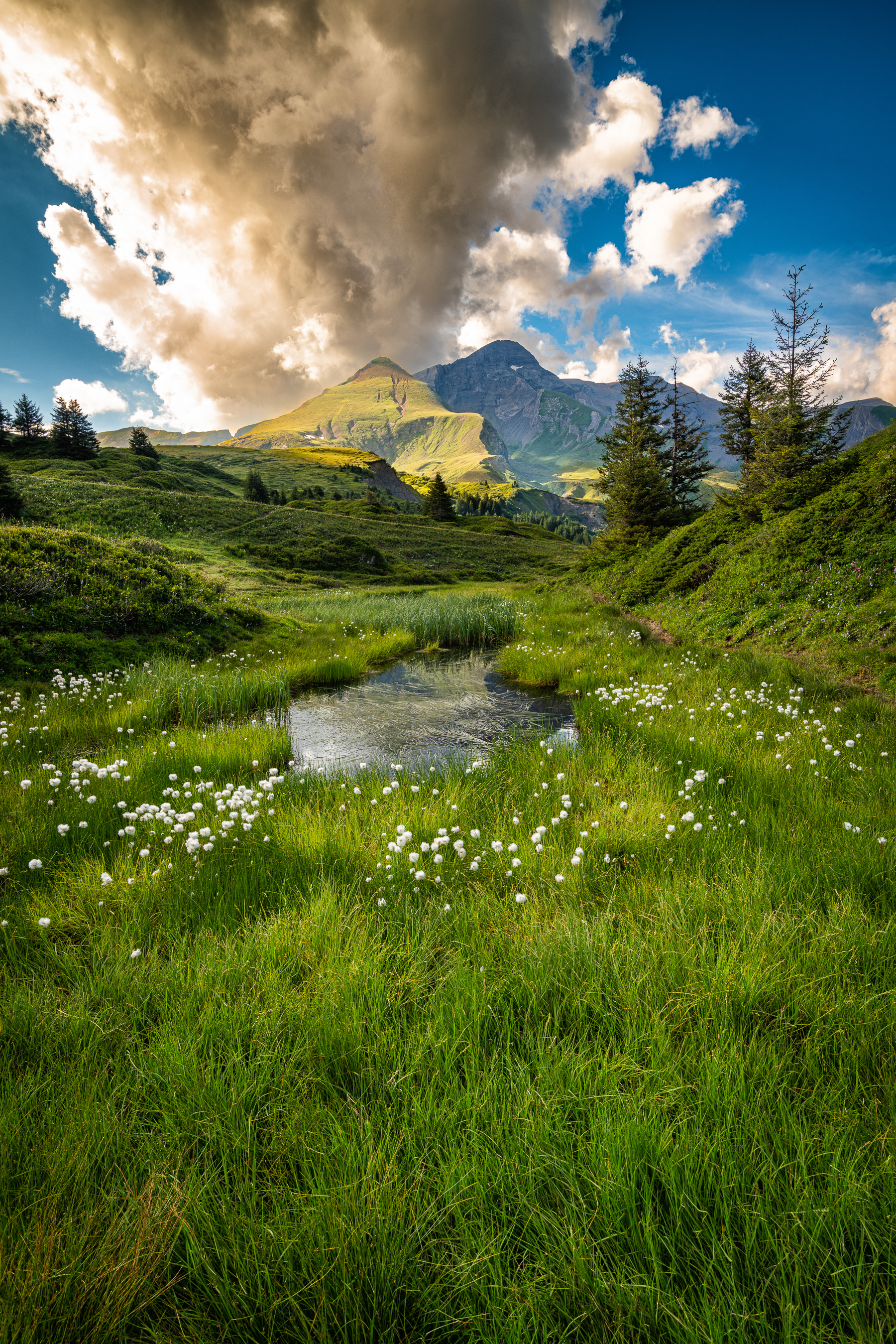 Berner Oberland Grindelwald — Fotoworkshop Lightexplorers