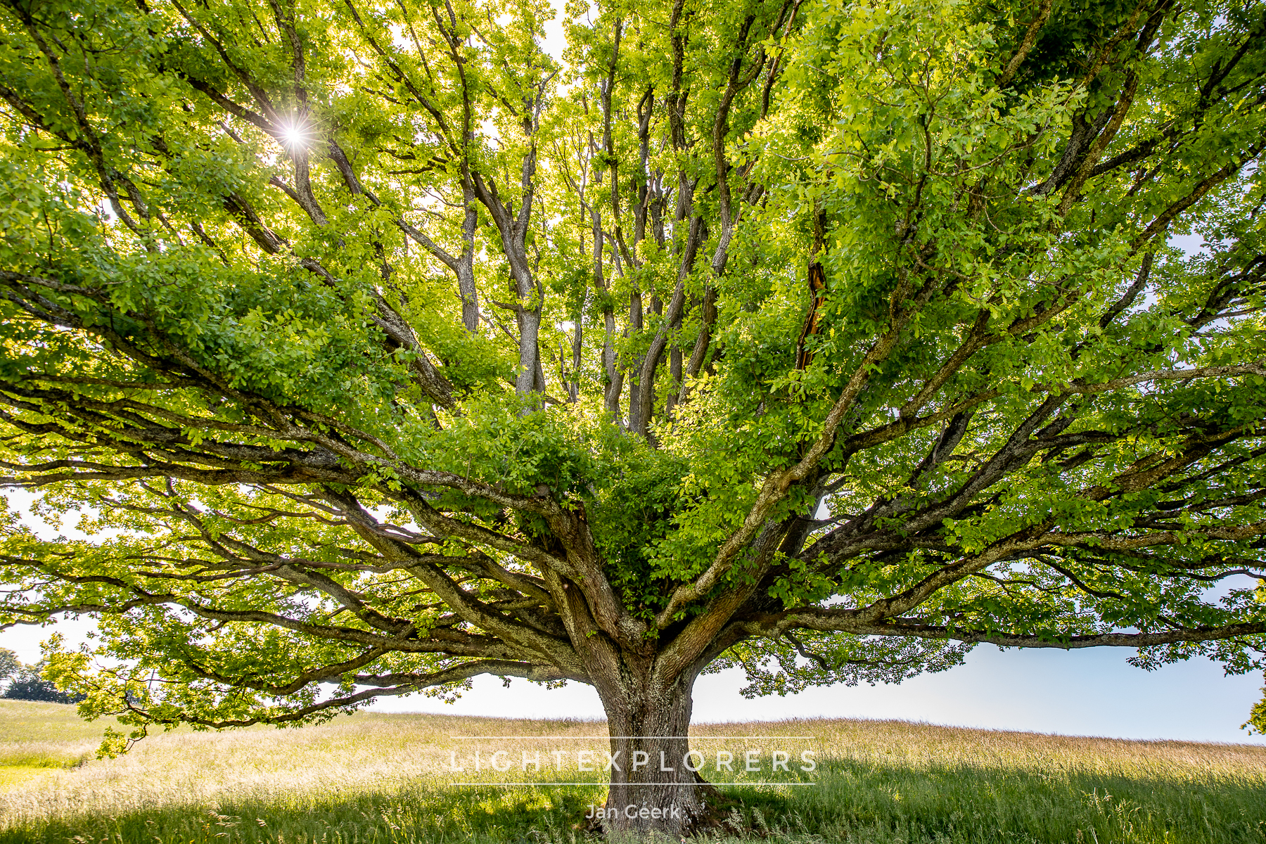 Baselland Frühling Felder — Landschaftsfotografie Workshop