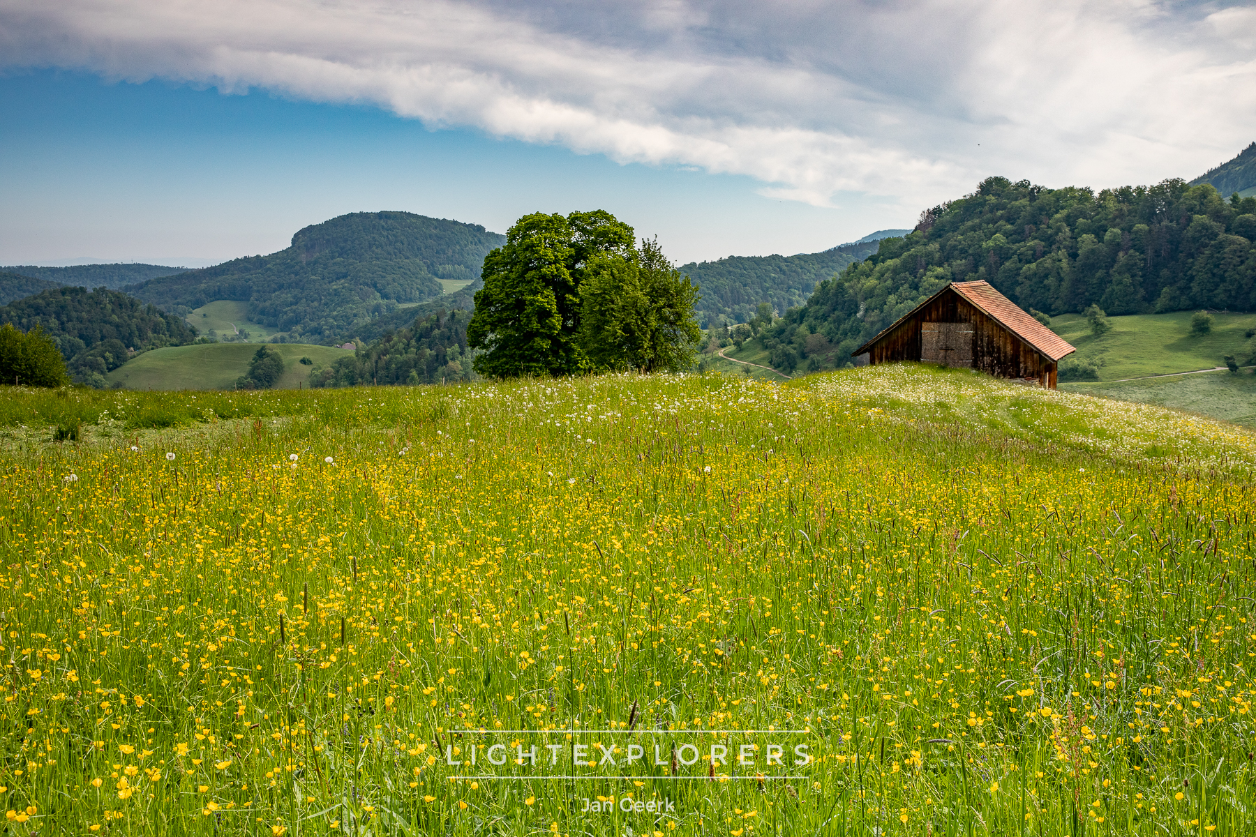 Frühling Baselbiet Kirschblüte — Fotografie Workshop Schweiz