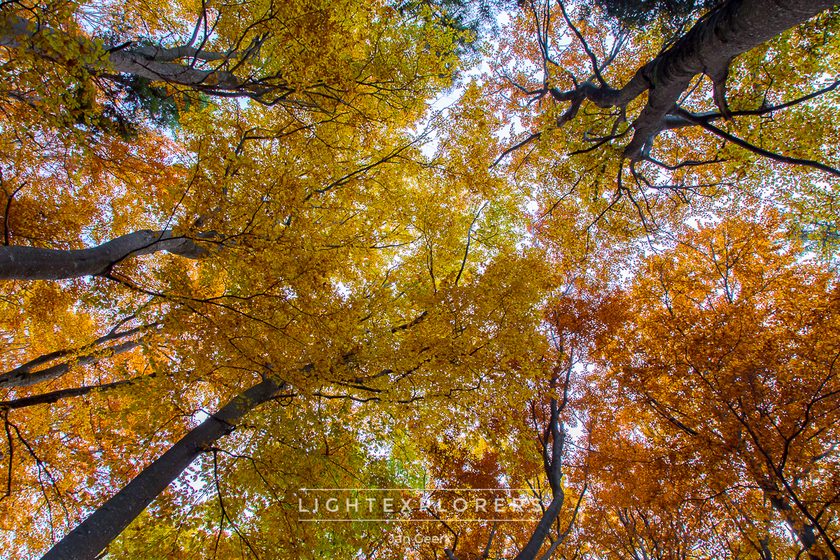 Herbst Baselbiet — Fotoworkshop Lightexplorers Schweiz