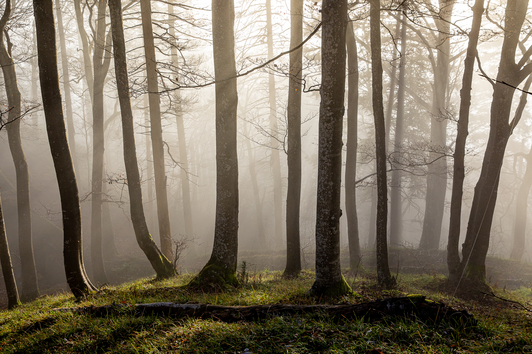 Herbst Baselbiet Herbstfarben — Fotoworkshop Lightexplorers