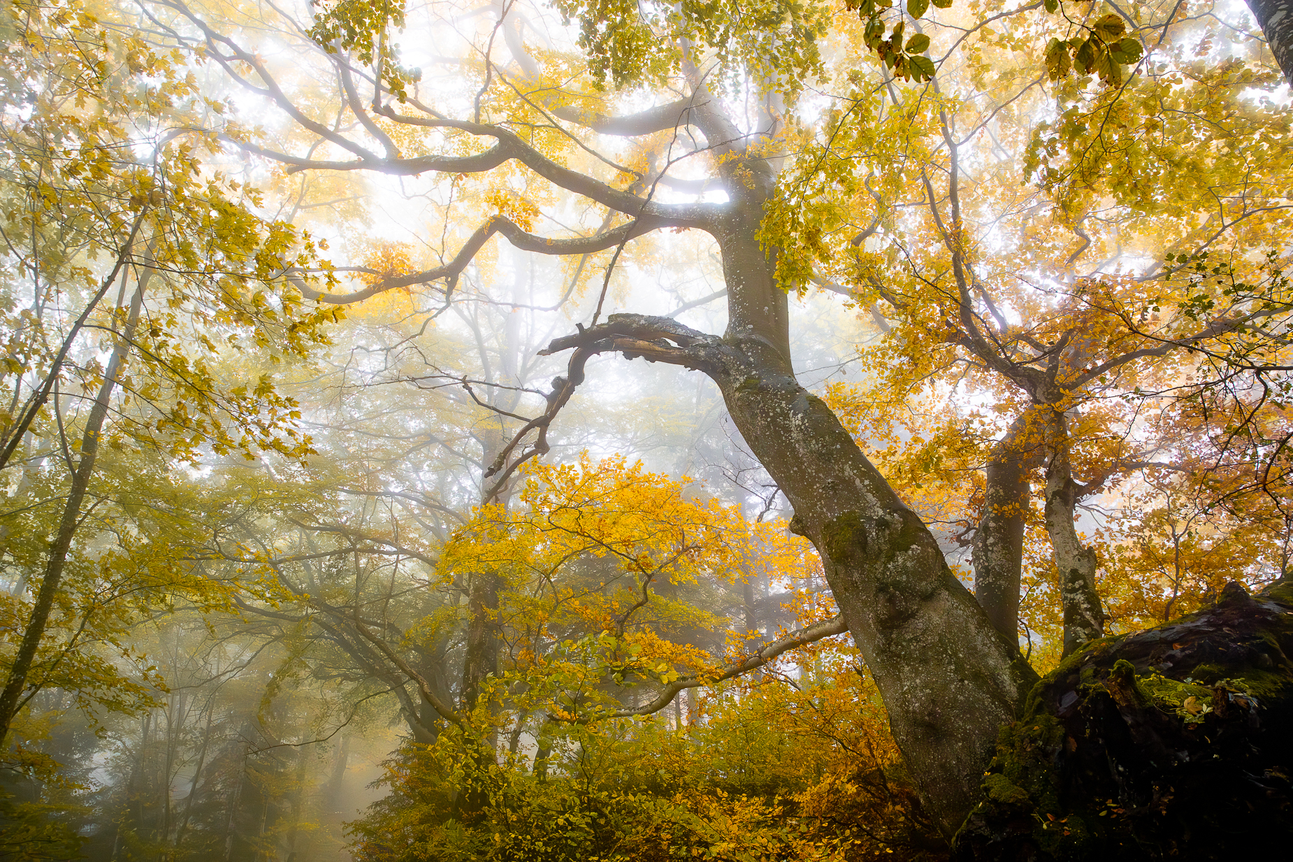 Herbst Baselbiet Nebelstimmung — Fotoworkshop Lightexplorers
