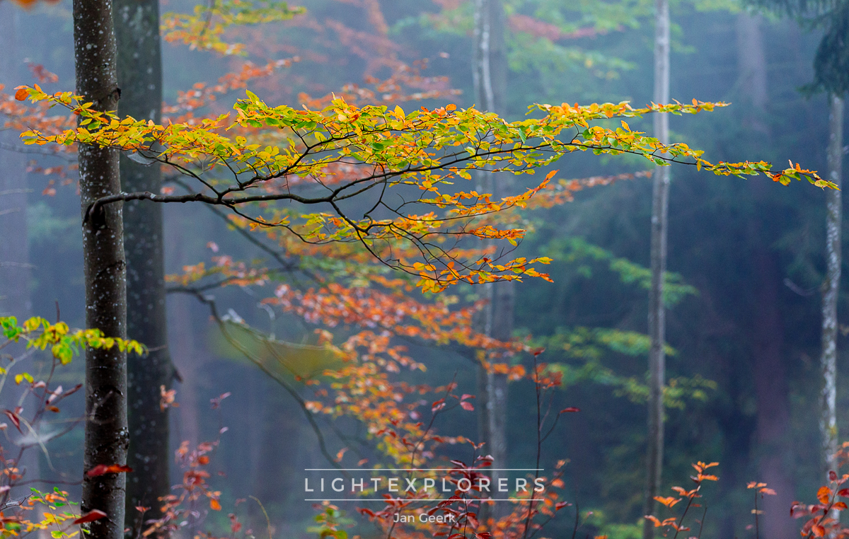 Herbst Birseck Jura — Landschaftsfotografie Workshop Baselbiet