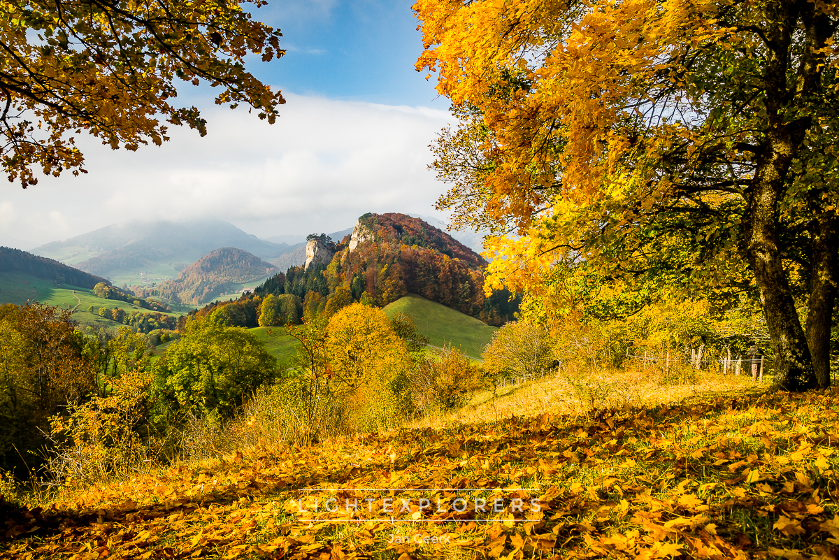 Herbst Birseck Landschaft — Fotografie Fotoworkshop Baselbiet