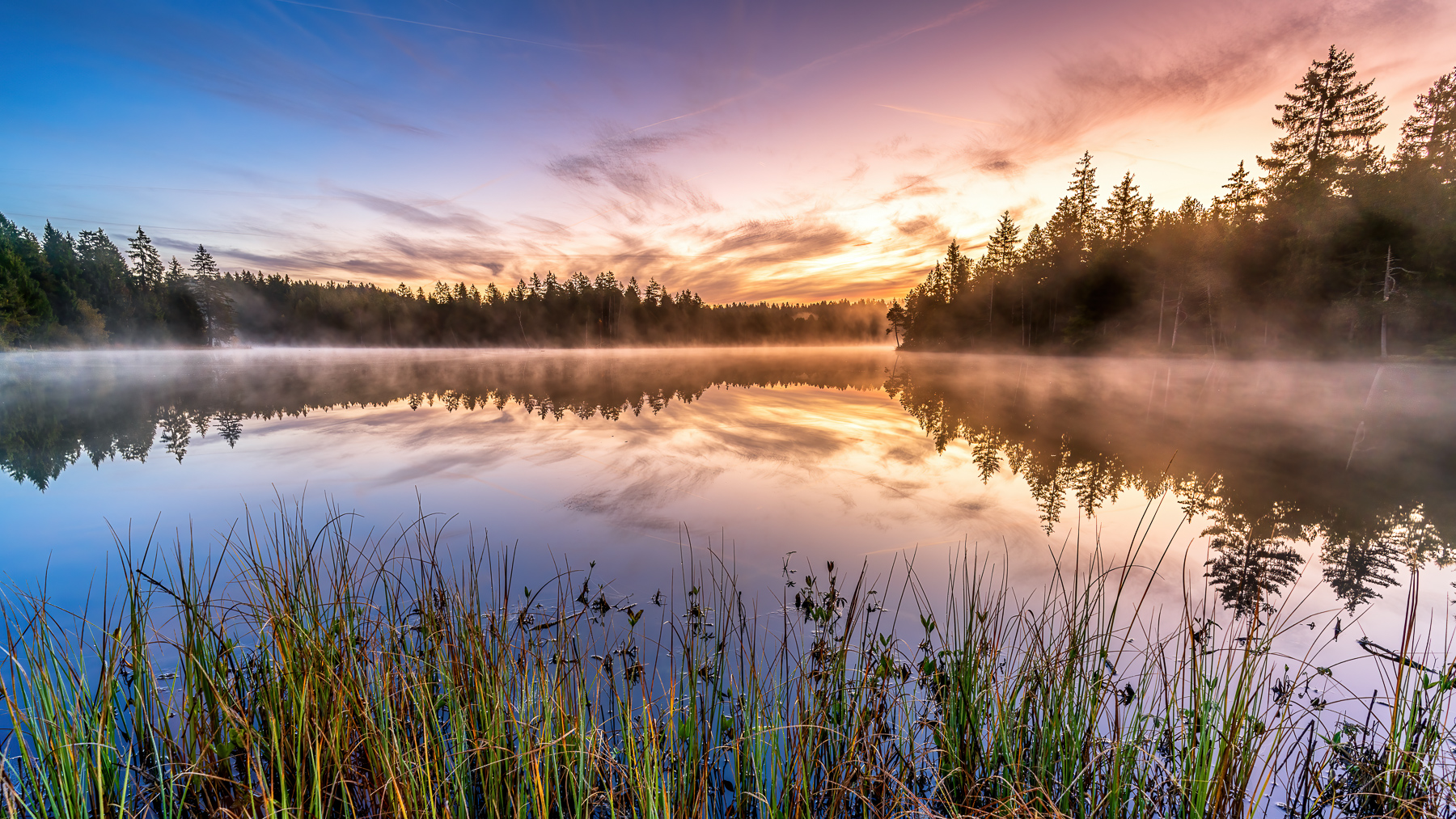 Herbst Jura Buchen Herbstfarben — Fotoworkshop Lightexplorers