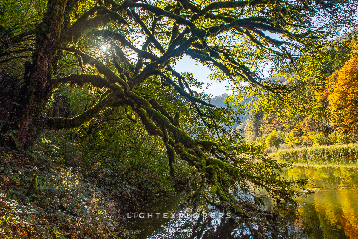 Herbst Jura Stimmung — Landschaftsfotografie Fotoworkshop