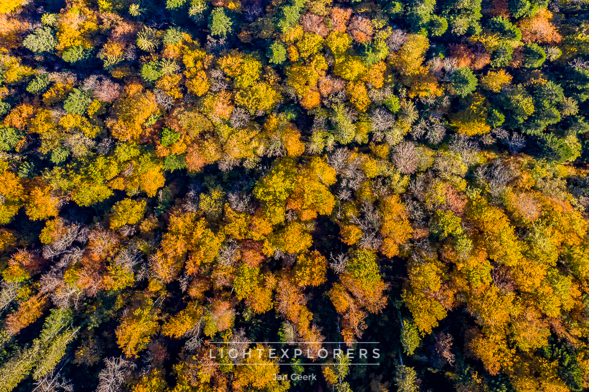 Herbst Jura Wald Herbstfarben — Fotografie Workshop Schweiz