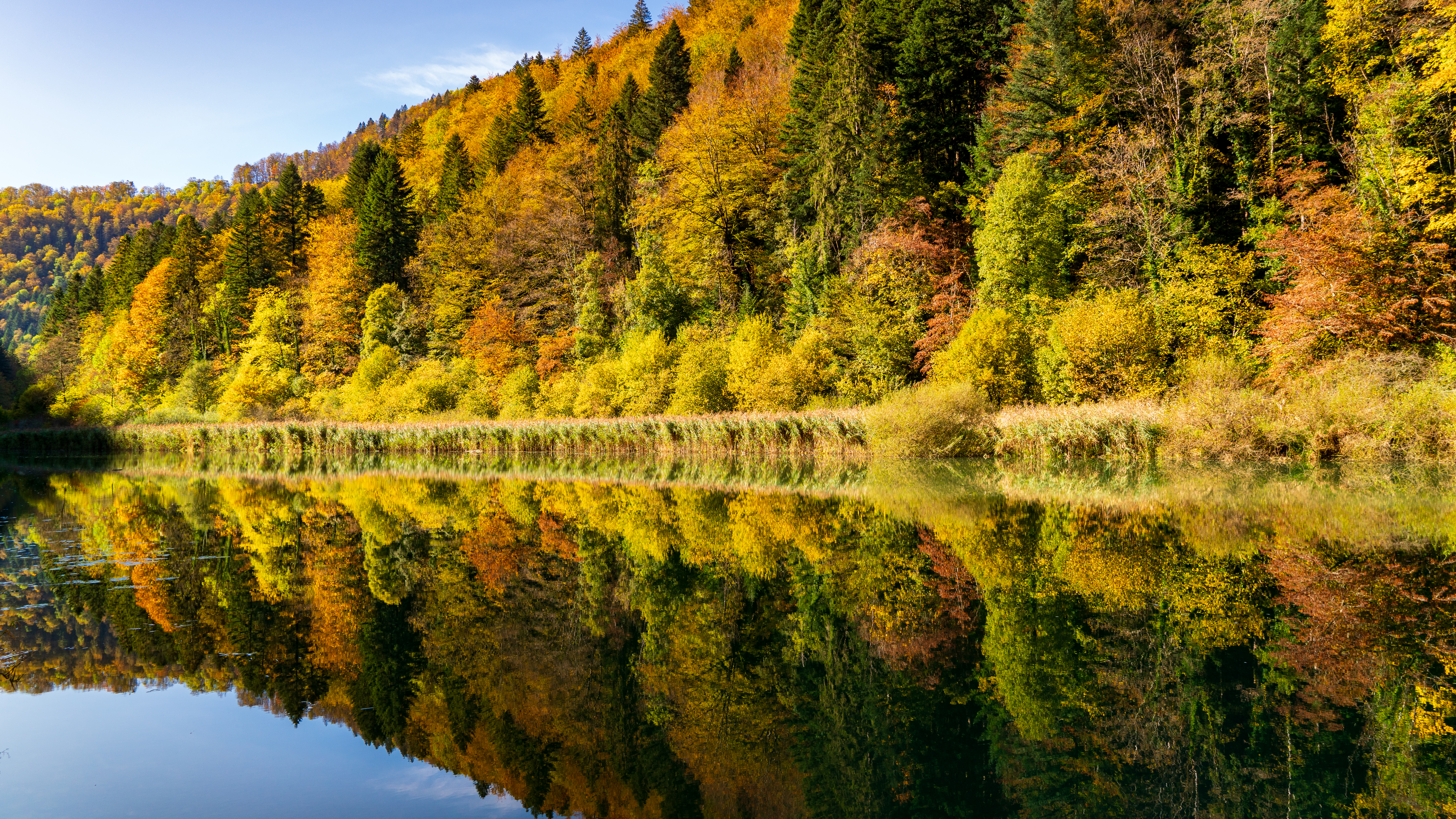 Herbstzauber im Jura – Landschaftsfotografie Workshop Jura, Schweiz