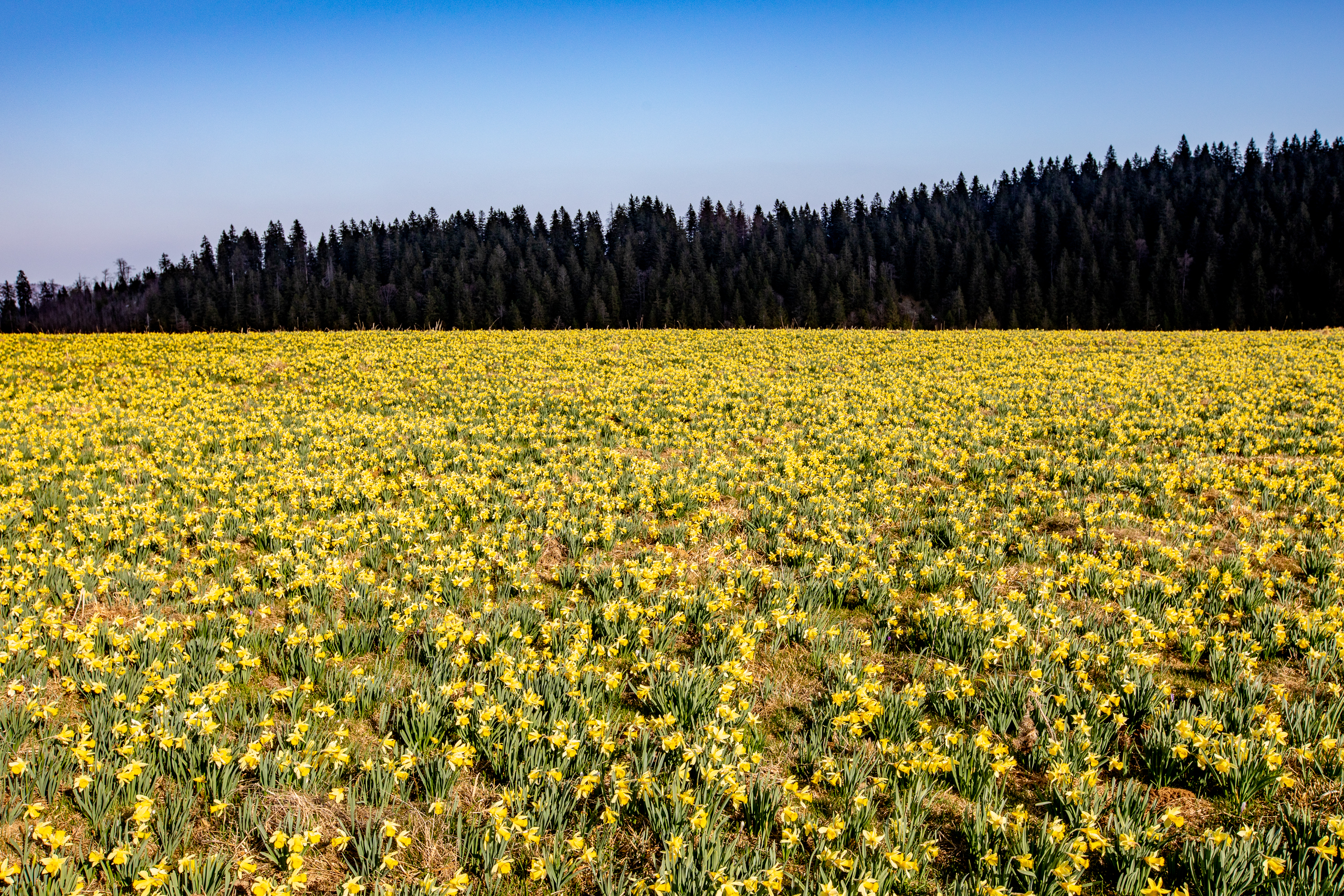 Jura Landschaft Frühling — Fotoworkshop Lightexplorers