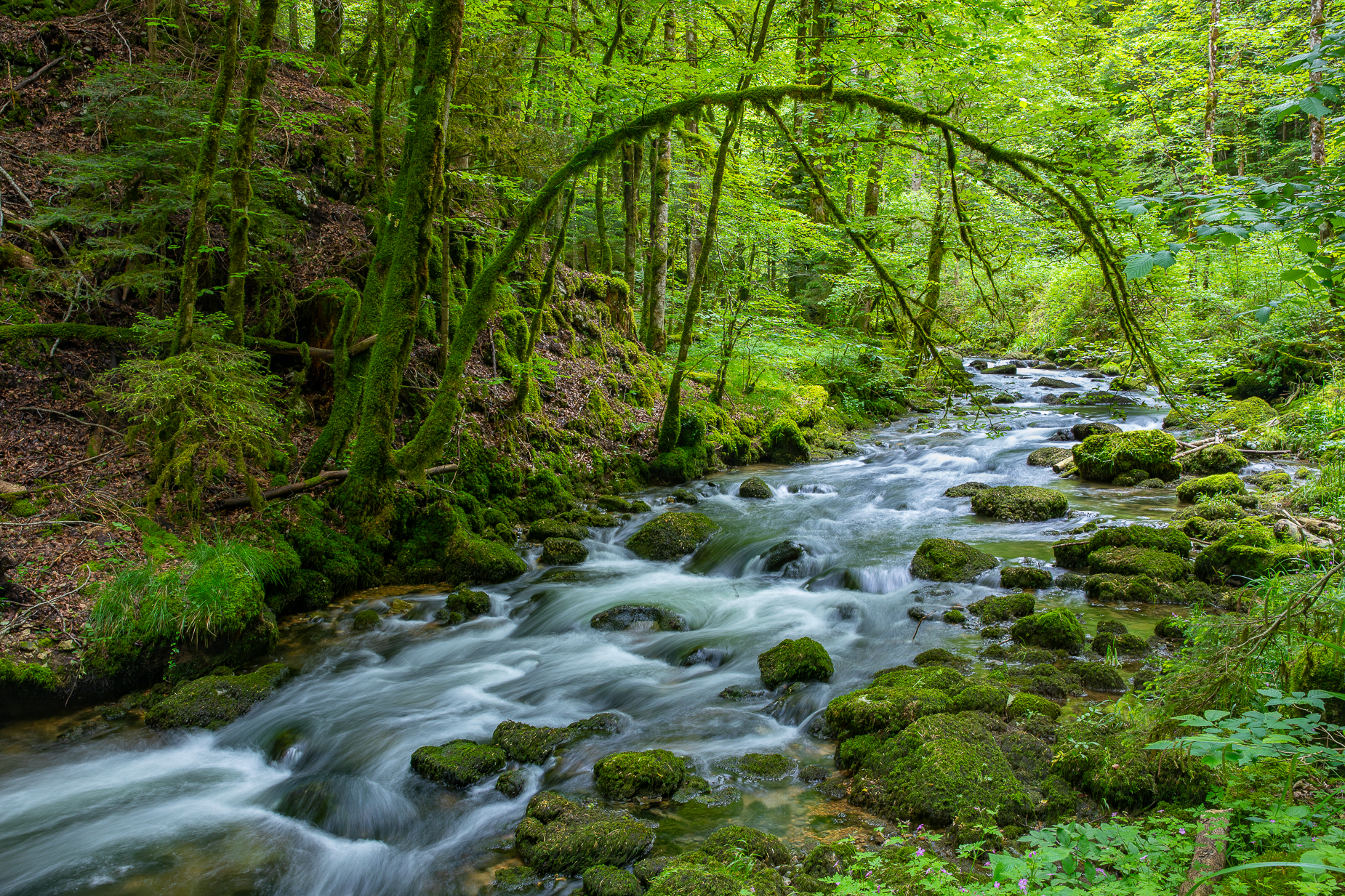 Bachfotografie Jura Schweiz — Fotoworkshop Lightexplorers