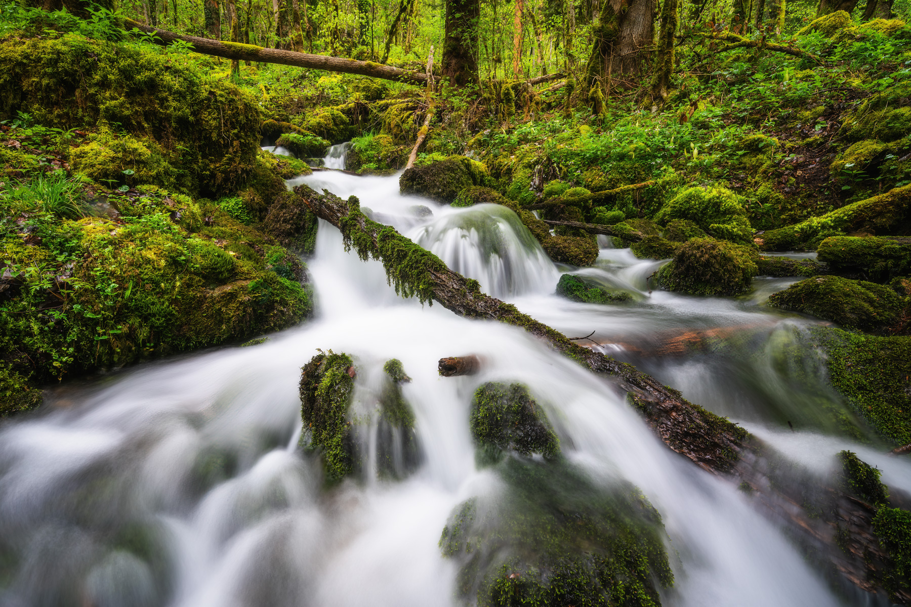 Wasserläufe im Jura – Fotoworkshop Jura | Lightexplorers