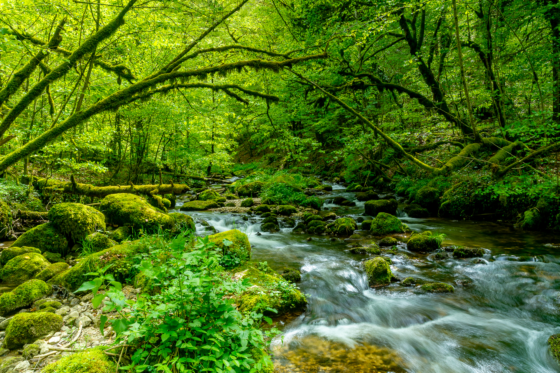 Gorges de Pichoux Jura Naturlandschaft — Fotografie Workshop