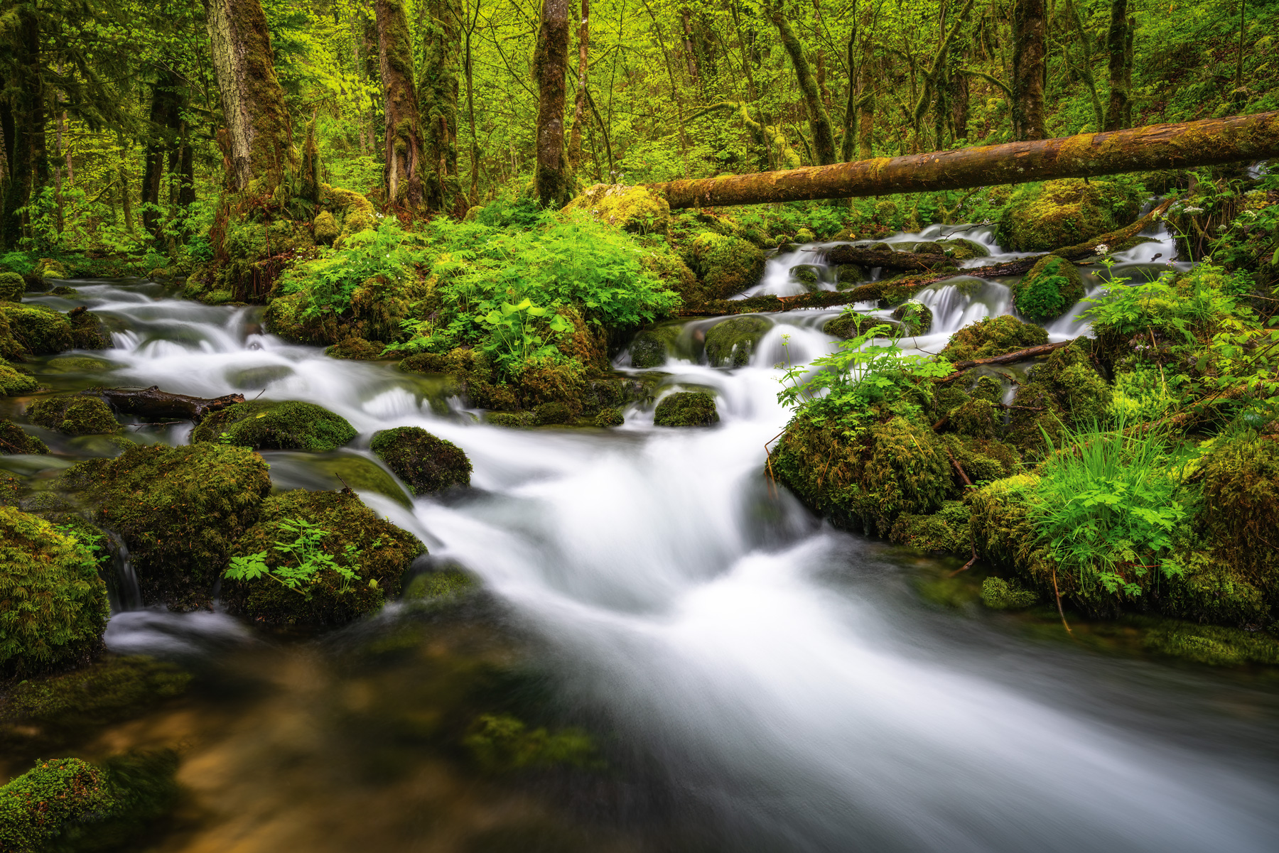 Gorges de Pichoux Wasserfall — Fotografie Workshop Jura
