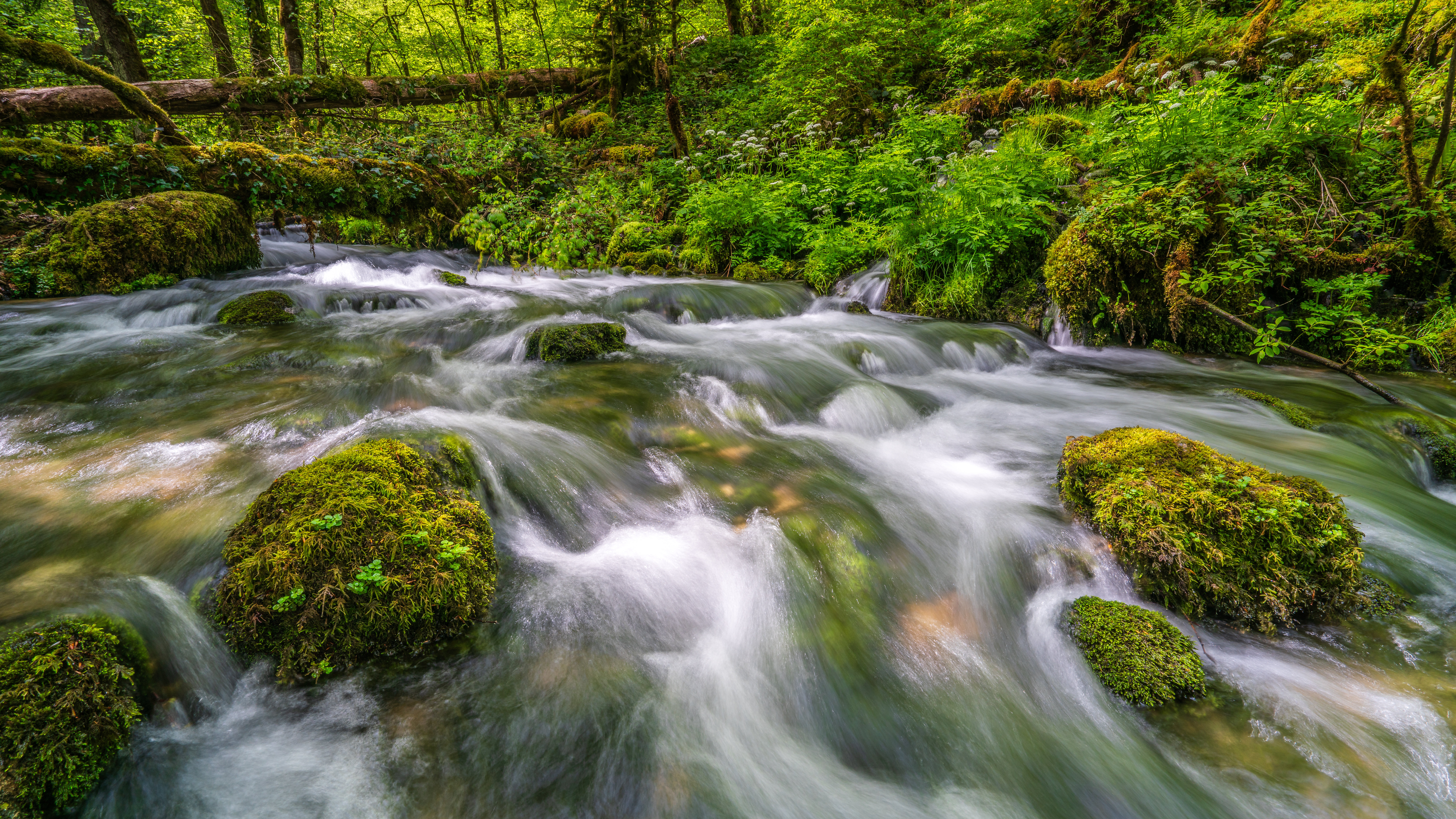 Wasserläufe im Jura – Landschaftsfotografie Workshop Jura, Schweiz