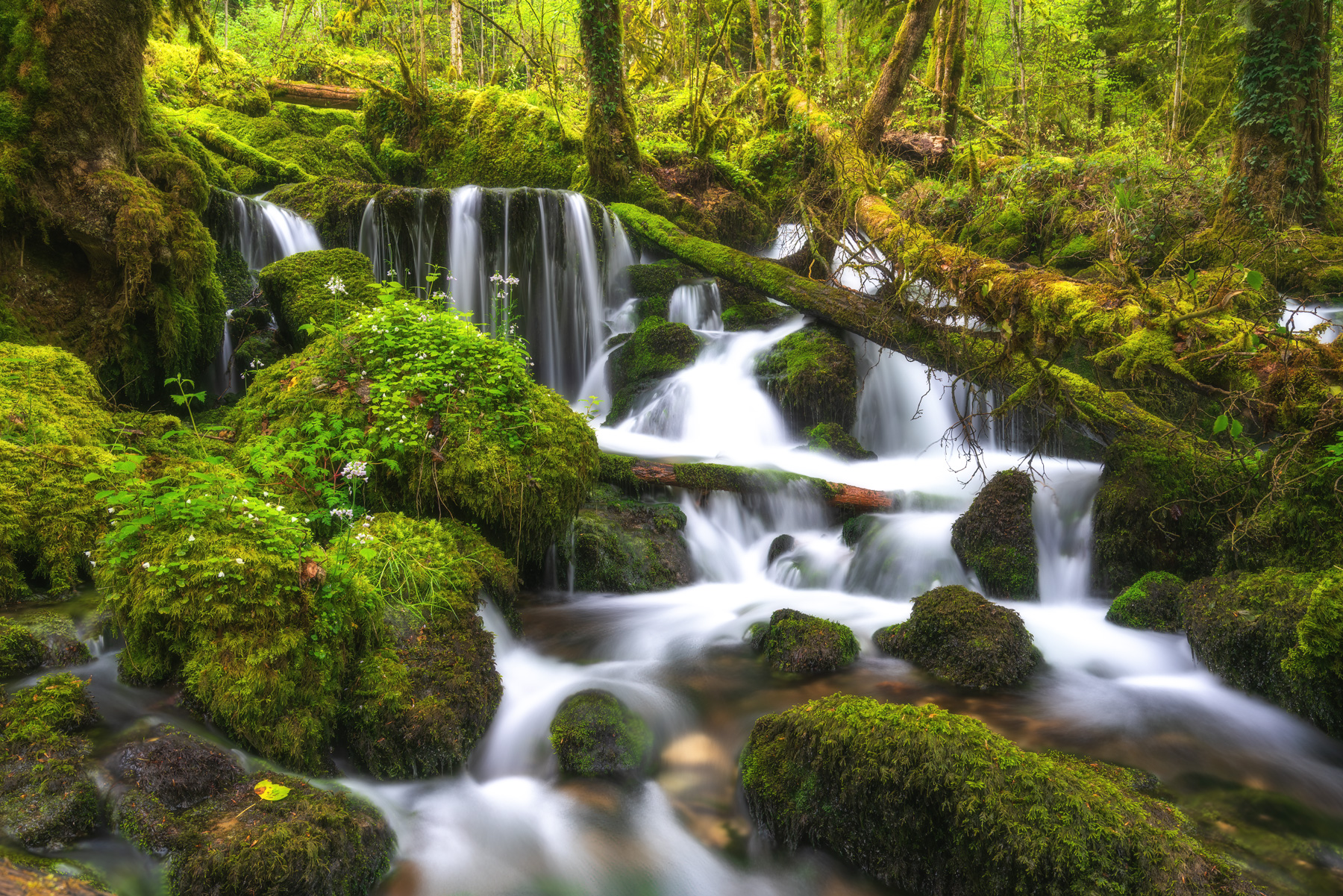 Jura Bach Langzeitbelichtung — Fotoworkshop Schweiz
