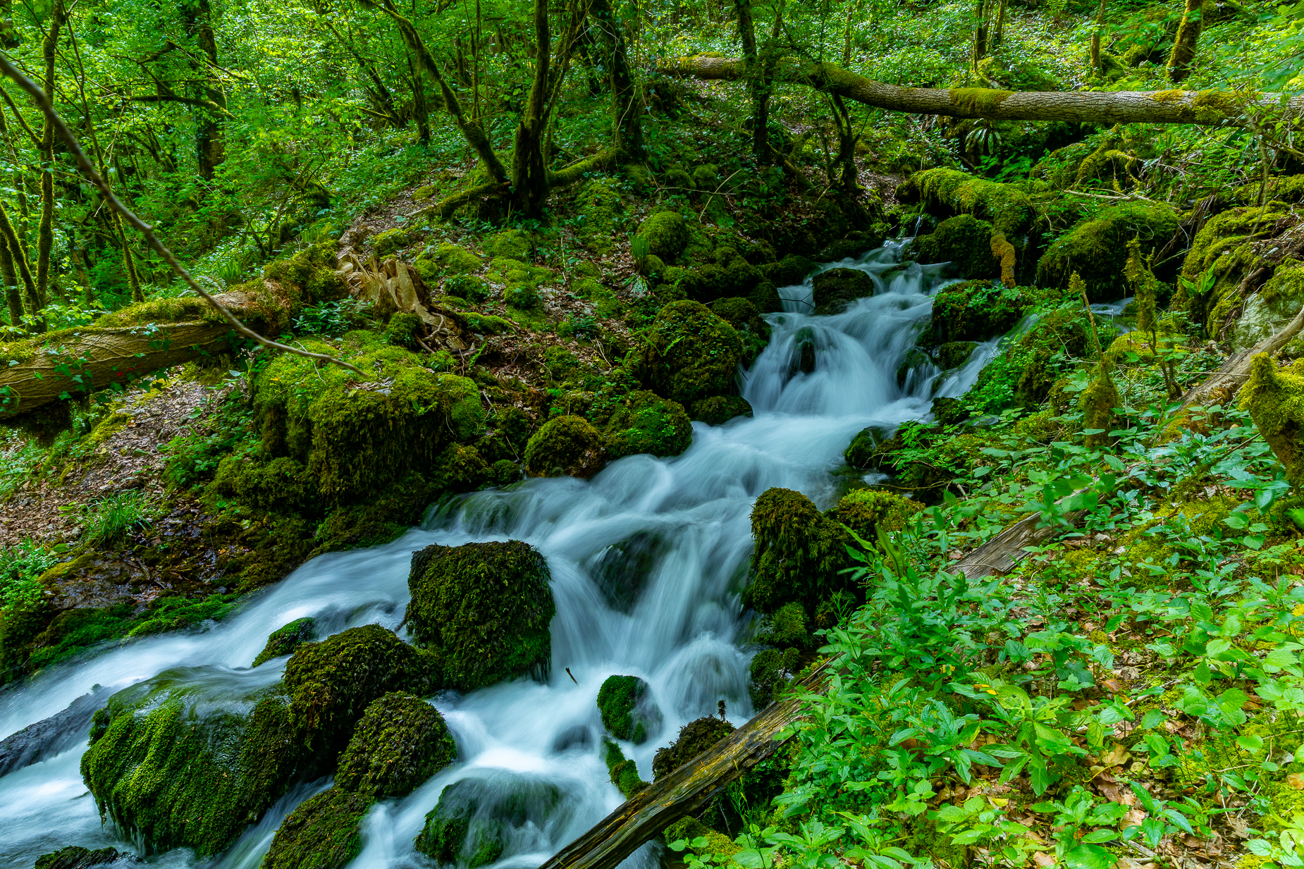 Jura Bach Lichtspiel — Fotoworkshop Lightexplorers Schweiz
