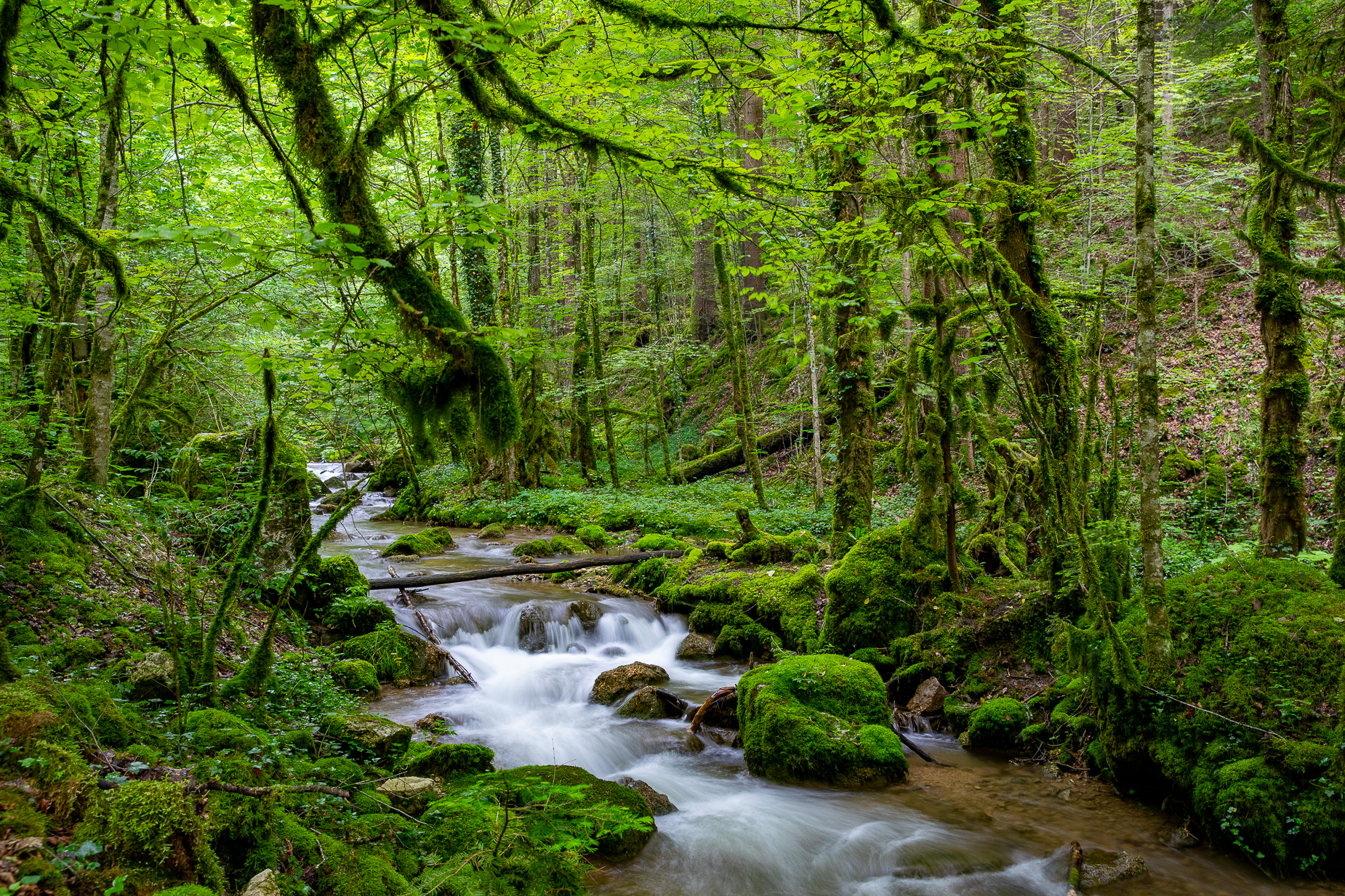 Wasserläufe Jura Herbst — Landschaftsfotografie Fotoworkshop