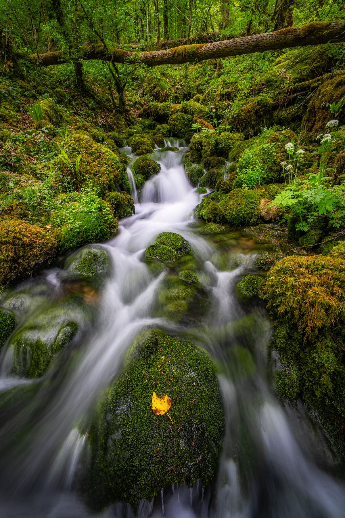 Wasserläufe Jura Natur — Fotoworkshop Lightexplorers Schweiz