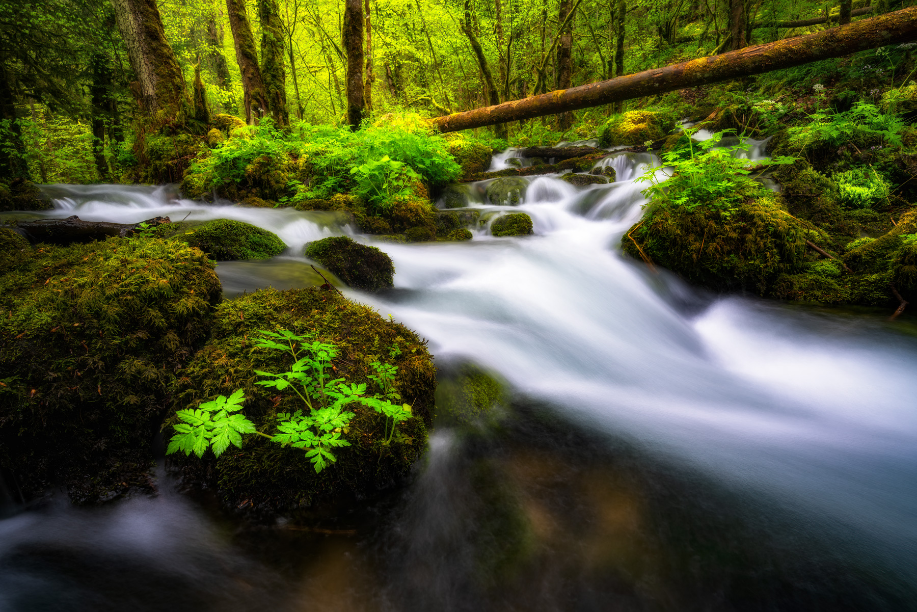 Wasserläufe Jura Wasserfälle — Landschaftsfotografie Fotoworkshop