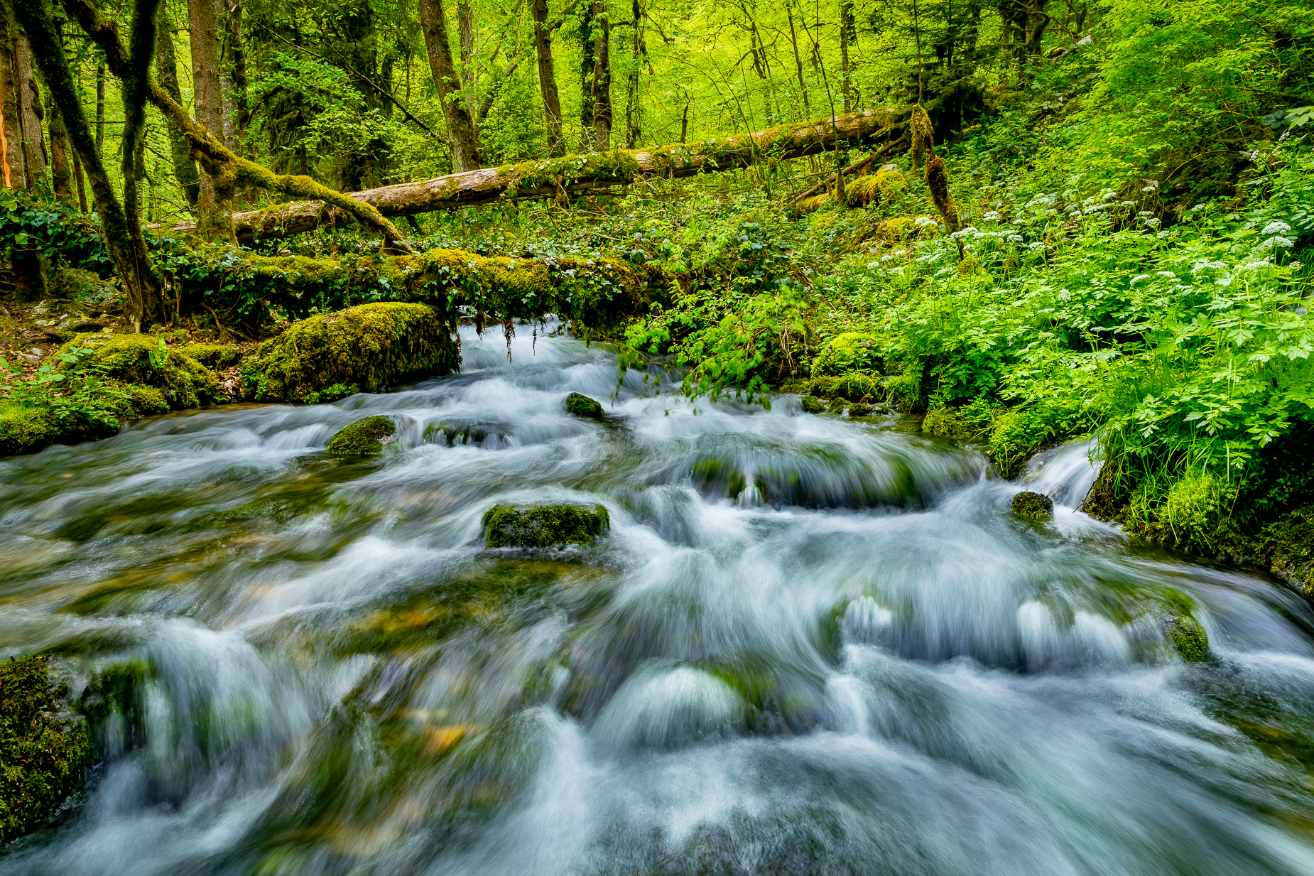 Wasserläufe Jurabogen Schweiz — Fotoworkshop Lightexplorers